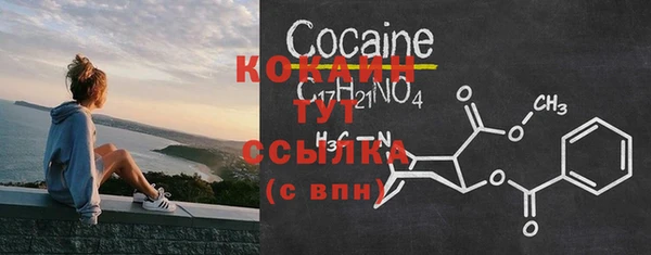 твердый Богородицк