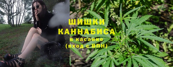 стафф Богородск
