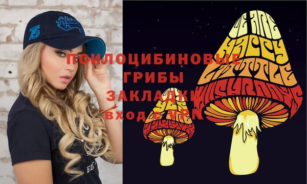 spice Богданович