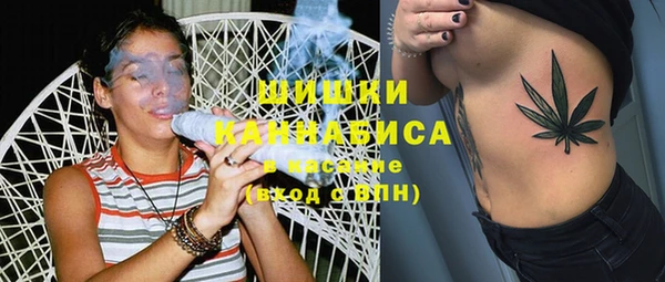 твердый Богородицк