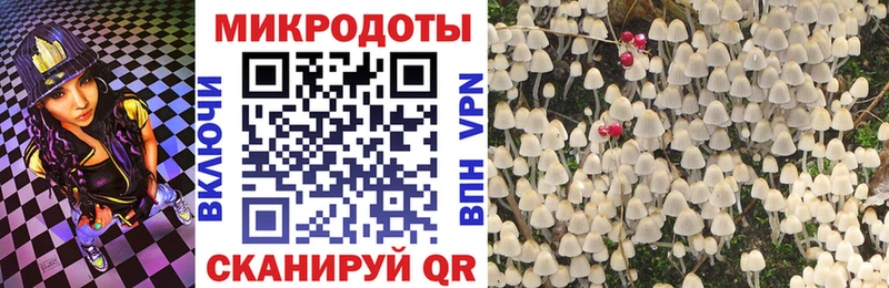 Купить где  Лихославль  Галлюциногенные грибы Psilocybe 